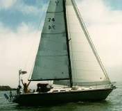 TransPac-transpac1996-berserk.jpg