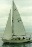 TransPac-transpac1996-bigdot.jpg