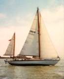 TransPac-transpac1996-rusalka.jpg