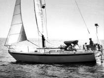 TransPac-transpac1998-bios-compassrose-l.jpg