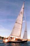 TransPac-transpac1998-bios-enda-l.jpg