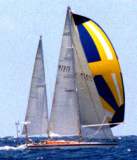 TransPac-transpac1998-bios-etosha-l.jpg