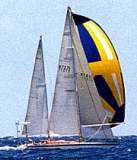 TransPac-transpac1998-bios-etosha-s.jpg