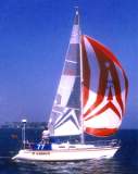 TransPac-transpac1998-bios-harrier-l.jpg