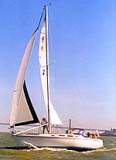 TransPac-transpac1998-bios-leilani-s.jpg