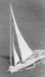 TransPac-transpac2000-biography-Wild_Thing.jpg