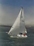 TransPac-transpac2000-sensei.jpg