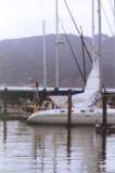 TransPac-transpac2000-start-orange_blossom_wind_generator.jpg