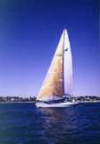 TransPac-transpac2000-tawodi.jpg