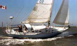 TransPac-transpac2002-images-shaulback.jpg