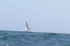 TransPac-transpac2004-Racers-images-havoc1.jpg