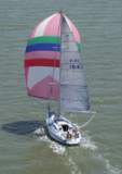 TransPac-transpac2004-Racers-images-lilSAV.jpg