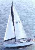 TransPac-transpac2004-Racers-images-lil_alegria01.jpg