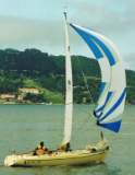 TransPac-transpac2004-Racers-images-lilcookiejar.jpg