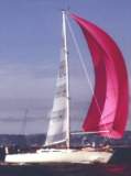 TransPac-transpac2004-Racers-images-lilkoinonia02.jpg