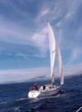 TransPac-transpac2004-Racers-images-lilwisdom02.jpg