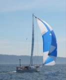 TransPac-transpac2004-Racers-images-lilzapped01.jpg
