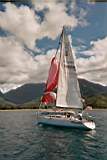 TransPac-transpac2004-images-rusalka_kite_wrap_in_hanalei.jpg