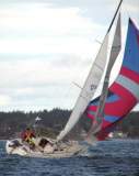 TransPac-transpac2006-foolish-57.JPG