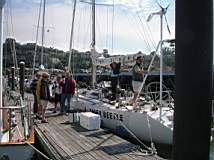 TransPac-transpac2006-images-tiger_beetle_at_cyc_prestart.jpg