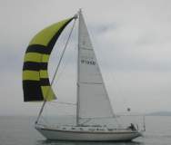 TransPac-transpac2006-lilergo03.jpg