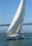 TransPac-transpac2006-nana.jpg016.jpg