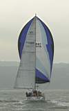 TransPac-transpac2006-sss_beetle_under_sail_1.jpg