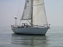 TransPac-transpac2006-sss_beetle_under_sail_2.jpg