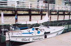 TransPac-transpac2008-race_entries-black_feathers.jpg