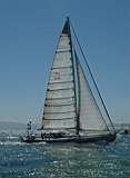 TransPac-transpac2008-race_entries-dogbark_2.jpg