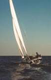 TransPac-transpac2008-race_entries-kitty_mambo.jpg