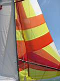 TransPac-transpac2008-seminar_handouts-spinnaker_thong_on.jpg